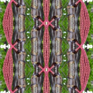 FLORA IMAGINARIA N 30