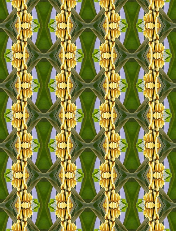 FLORA IMAGINARIA N 03