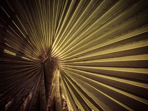 FOLHAS DOURADAS_2
