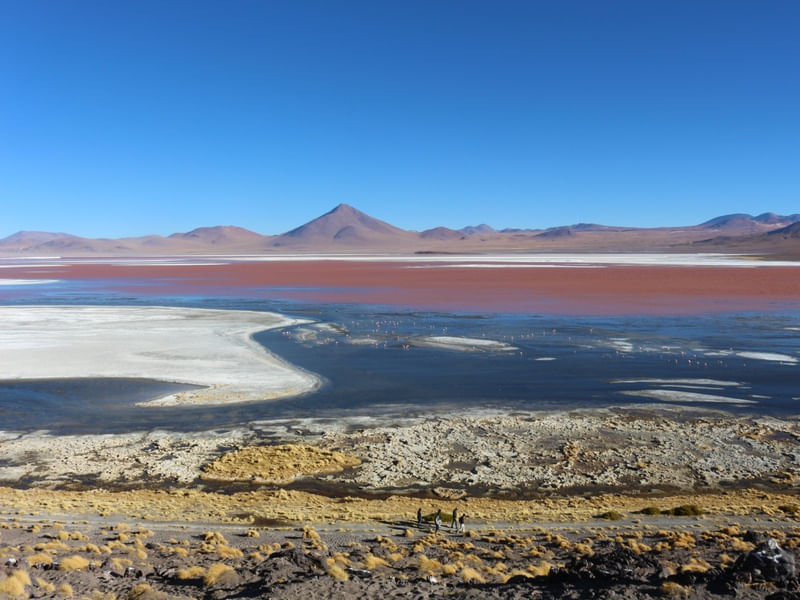 ATACAMA FEELINGS