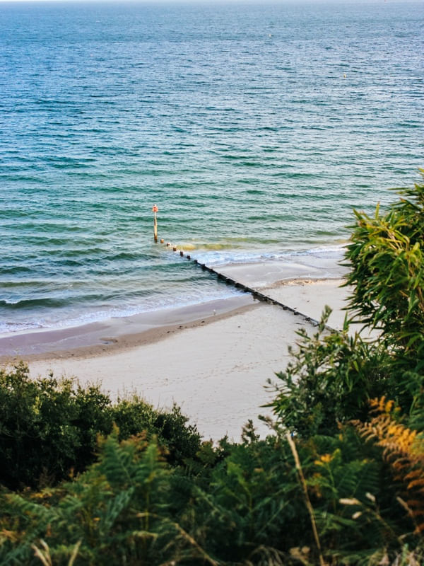 FROM THE CLIFF