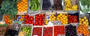 LEGUMES COLORIDOS