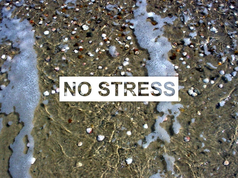 NO STRESS CITY