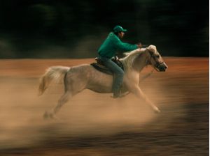 MENINO TREINADOR DE CAVALOS
