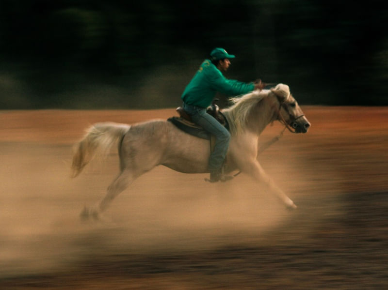 MENINO TREINADOR DE CAVALOS