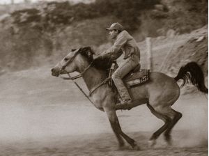 TREINADOR DE CAVALOS