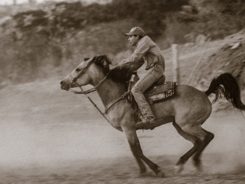TREINADOR DE CAVALOS