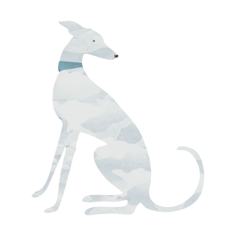 GALGO LOVER