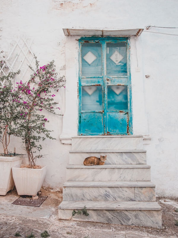 PORTA AZUL COM GATO NAS ESCADAS