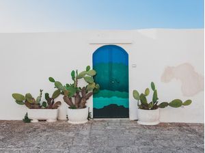 PORTA COLORIDA COM CACTOS