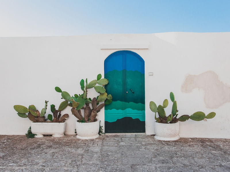 PORTA COLORIDA COM CACTOS