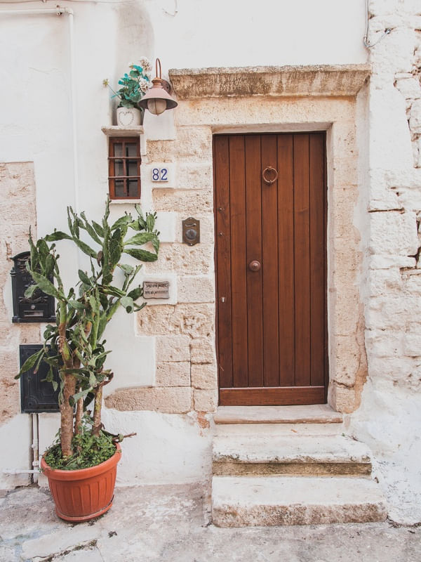 PORTA COM CACTOS