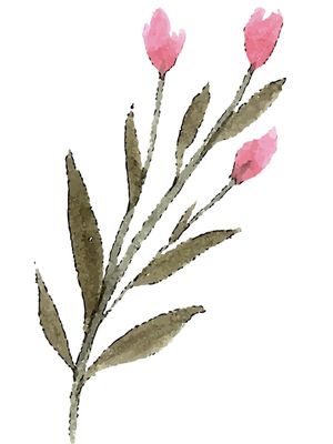 FLORES E FOLHAS EM AQUARELA