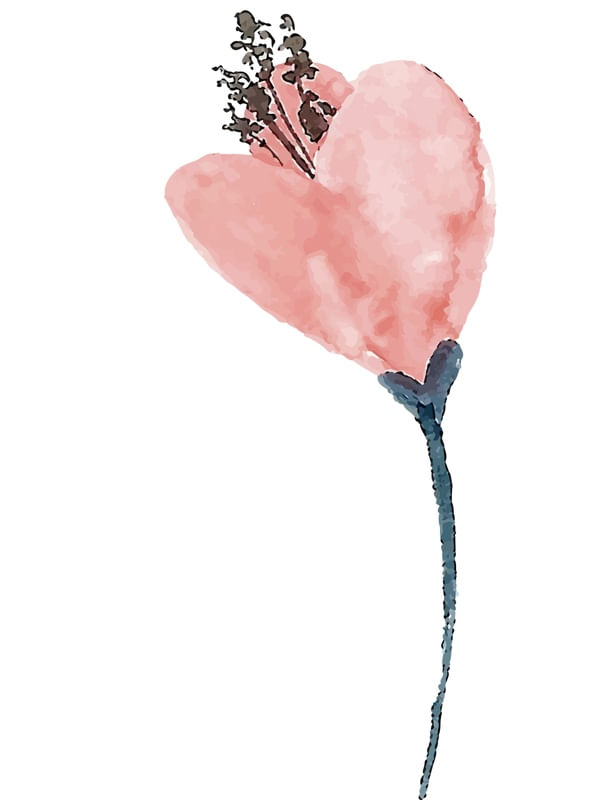 FLOR DELICADA EM AQUARELA