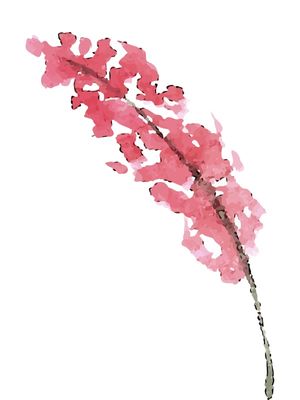 FLOR EM AQUARELA DELICADA