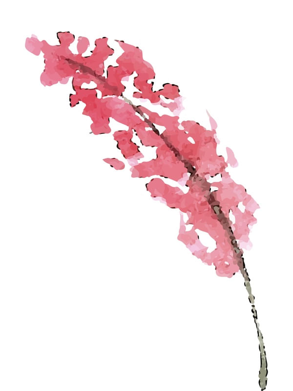 FLOR EM AQUARELA DELICADA