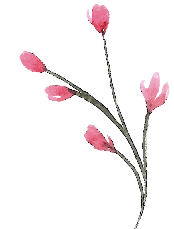 BOTÕES DE FLOR