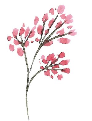 BOTÕES DE ROSA EM AQUARELA