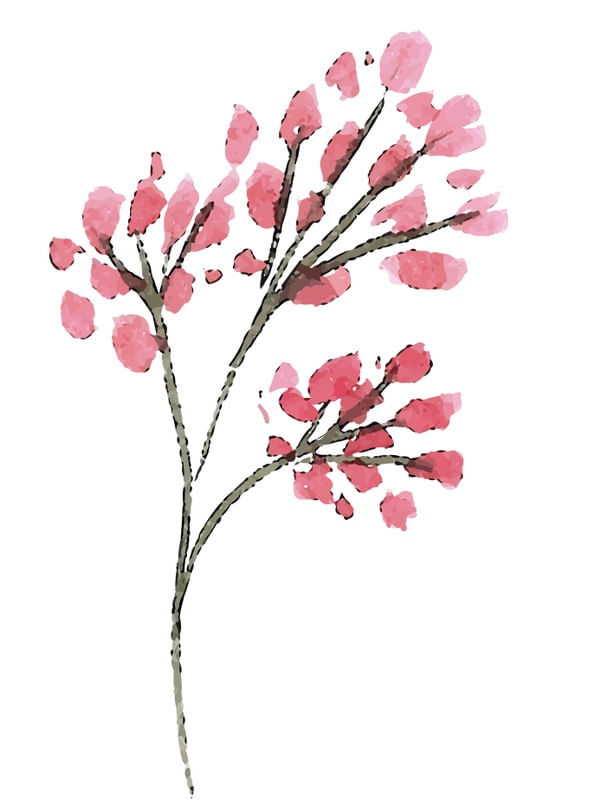 BOTÕES DE ROSA EM AQUARELA