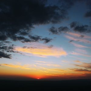 SUNLOVER