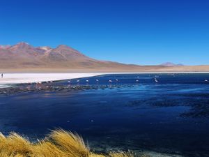 SALAR DE ATACAMA E TOCONAO