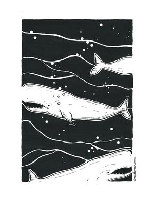 ANALUME BLACK OCEAN