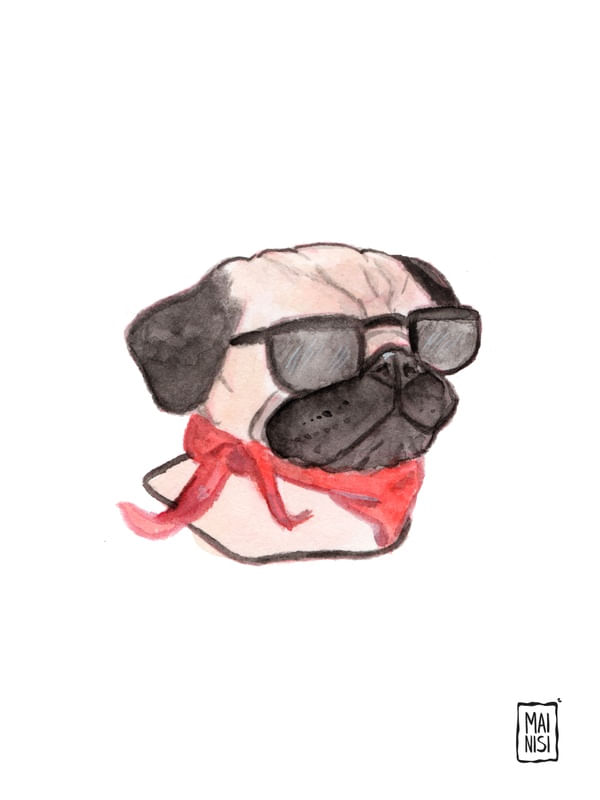 COOL PUG