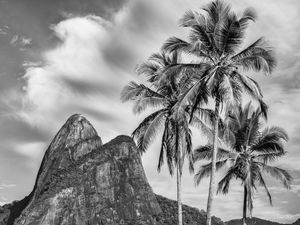 MONTANHAS CARIOCAS, DOIS IRMÃOS II, RIO DE JANEIRO.