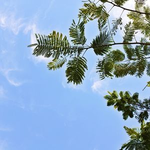 CÉU ABERTO