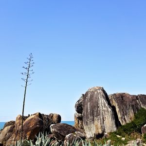 PRAIA DA SAUDADE INFINITA