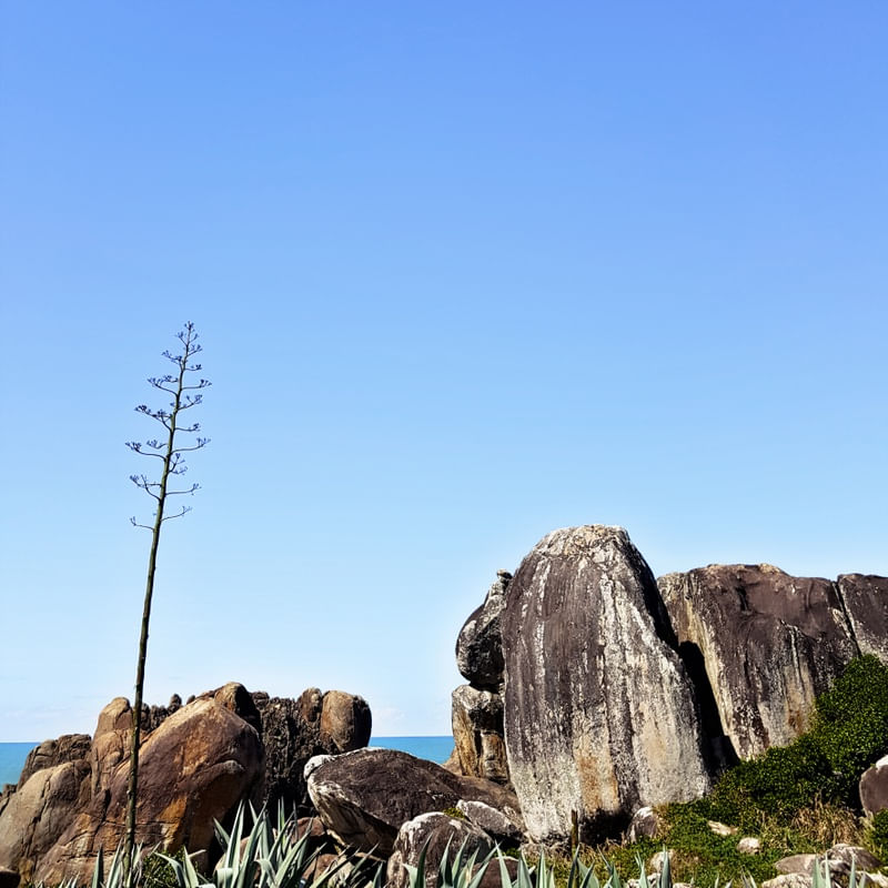 PRAIA DA SAUDADE INFINITA