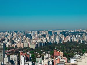 VERDE AINDA SOBREVIVE NA METRÓPOLE