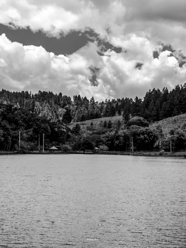 LAGO SP- PB