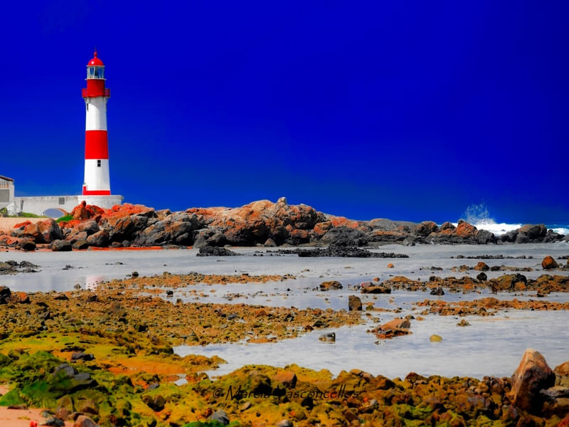 NATUREZA 25