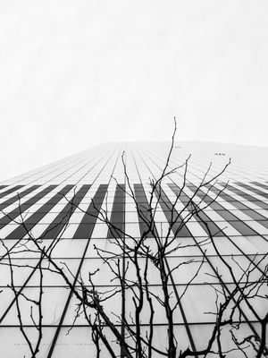 ONE WORLD TRADE CENTER TREE