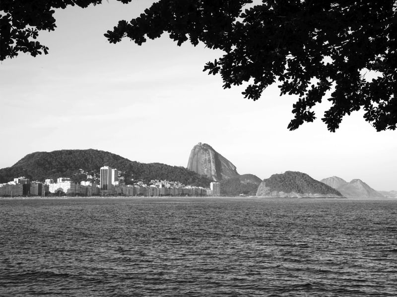 NATURAL DO RIO