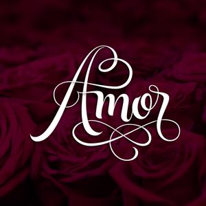 AMOR E ROSAS
