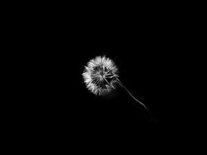 DARKNESS AND LIGHT V