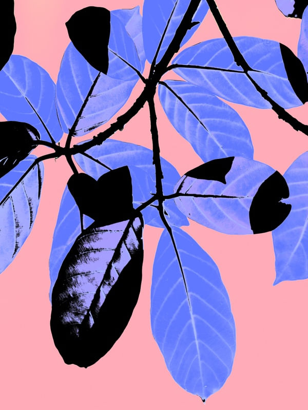 FOLHUM ADRIANAE REDONDUS AZUL DIPTICO 1