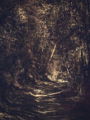 MAGIC ROAD AHEAD