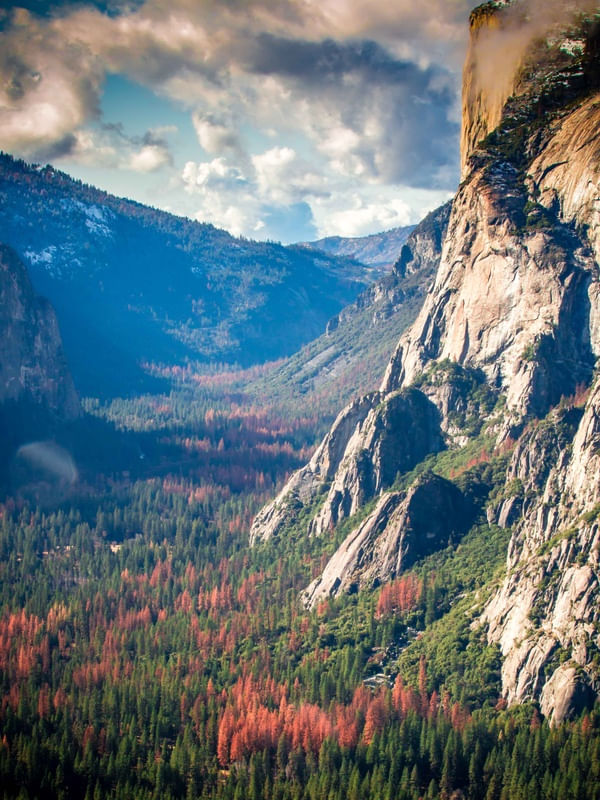 VALE NO YOSEMITE