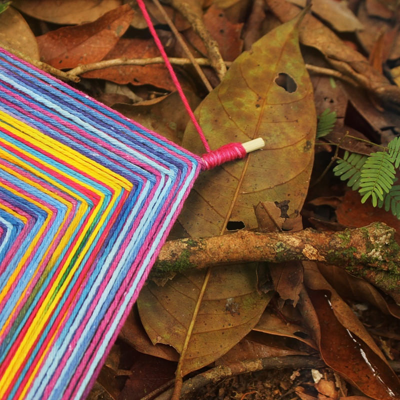 CORES E A NATUREZA
