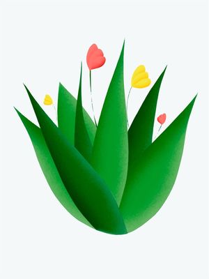 AGAVE