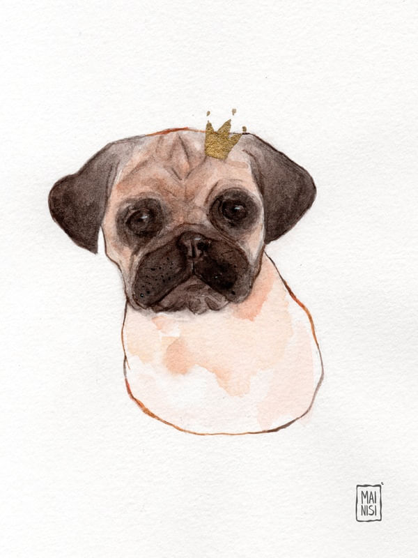 KING PUG CORRIGIDOS