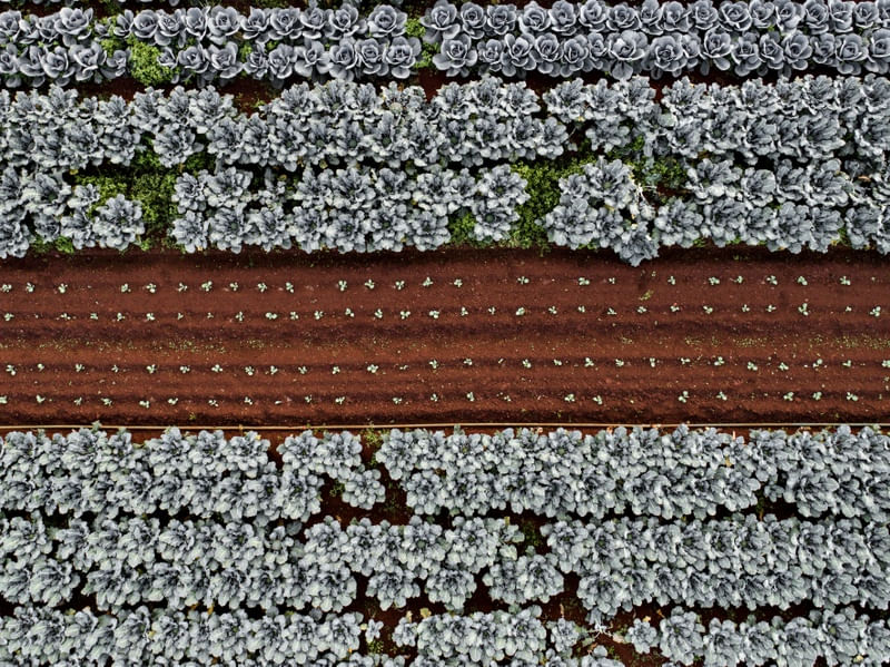 A GEOMETRIA DA LAVOURA III