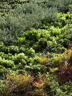 JARDIM VERTICAL (POLÍPTICO B)