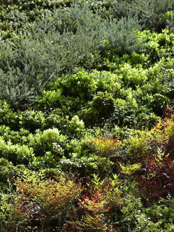 JARDIM VERTICAL (POLÍPTICO B)