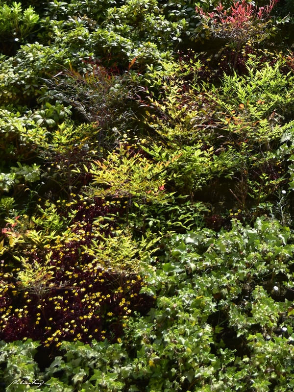 JARDIM VERTICAL (POLÍPTICO C)