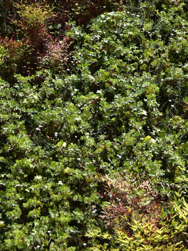 JARDIM VERTICAL (POLÍPTICO D)