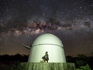 A CADELA, O HOMEM E AS ESTRELAS.